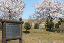 Ashikaga Plant Interior and Exterior