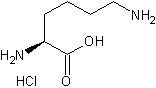 塩酸L-リジン